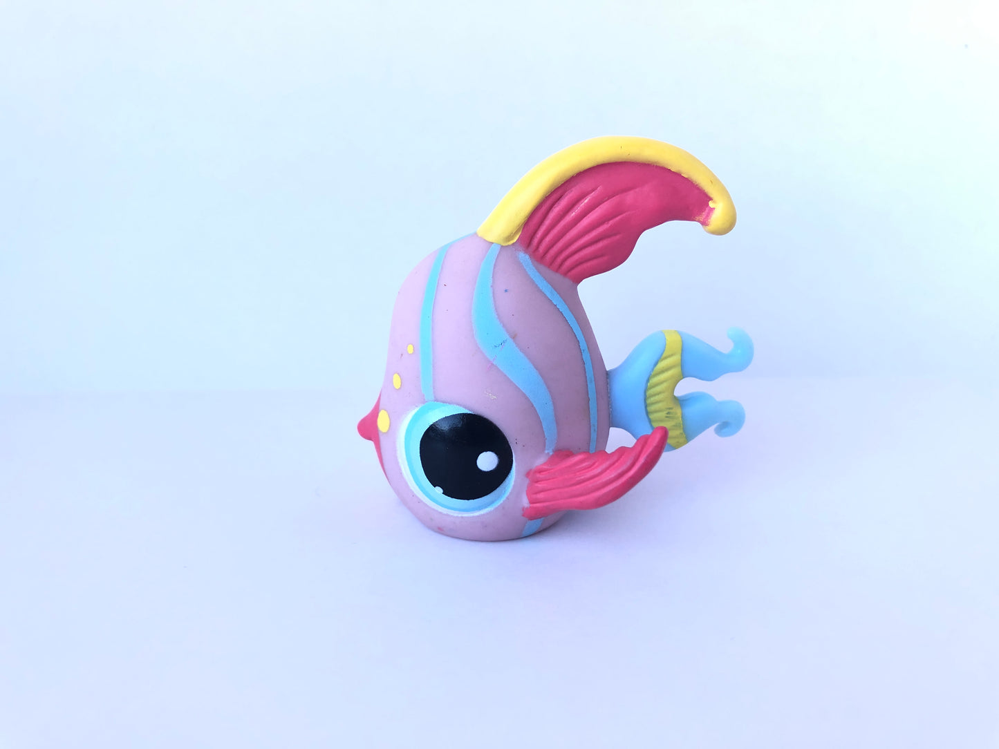 Lps 884 Angelfish