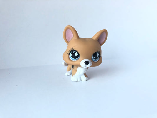 Lps 639 Corgi