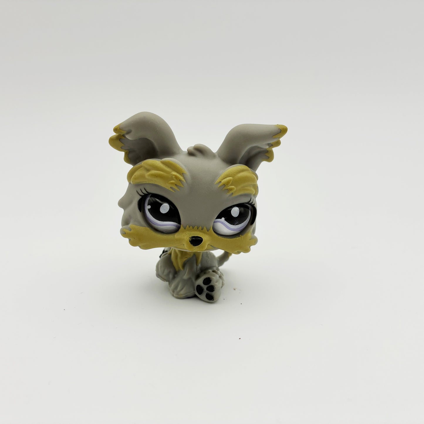 Lps 883 Glass Eyed Yorkie