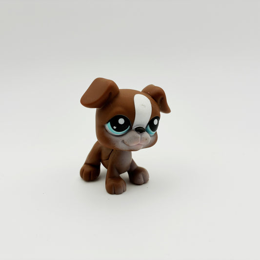 Lps 83 Boxer