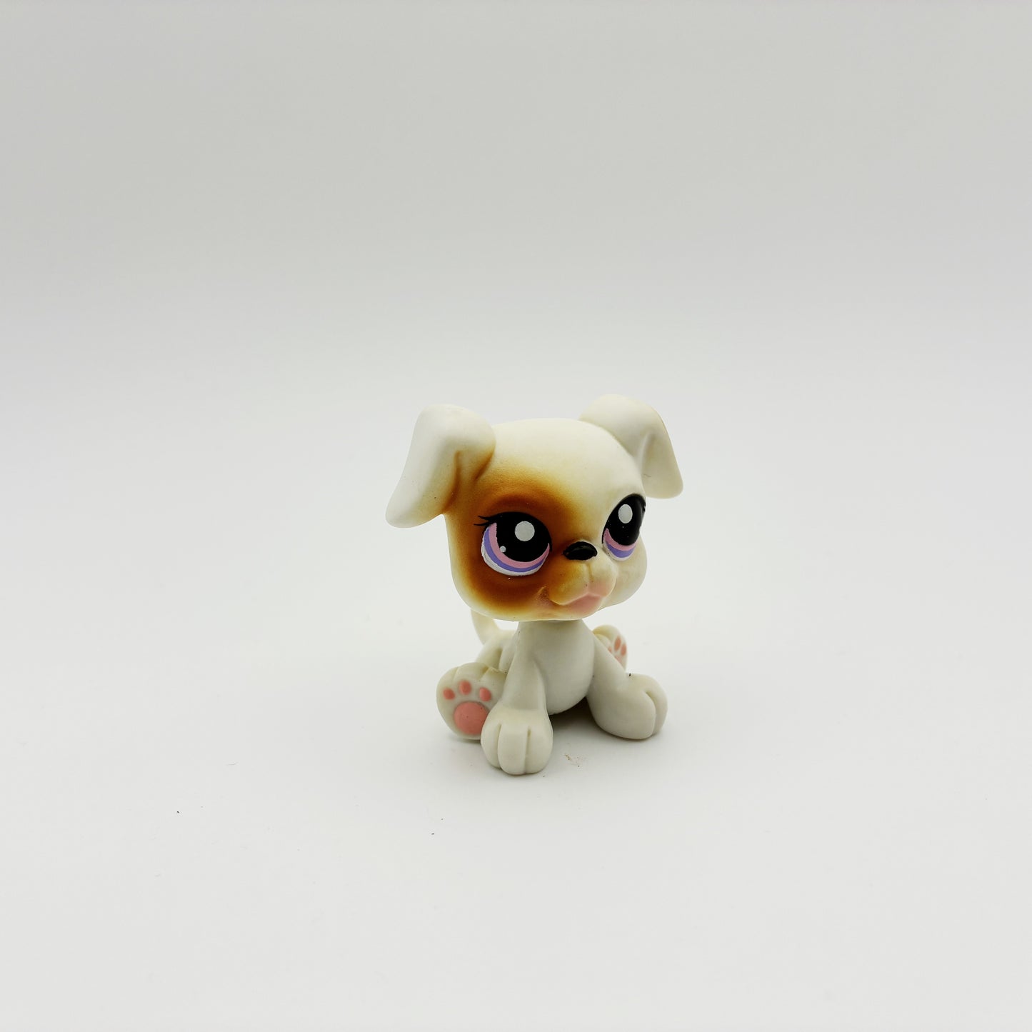 Lps 84 Boxer