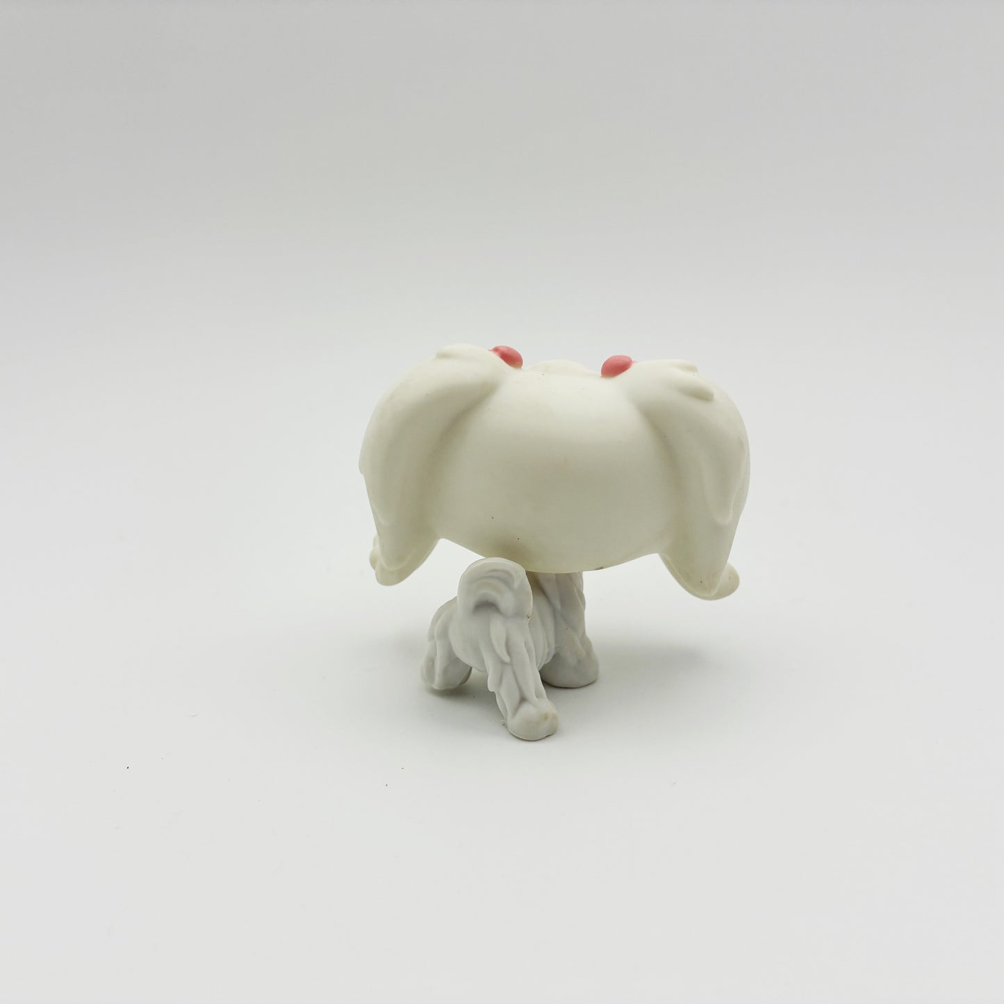 Lps 65 Maltese