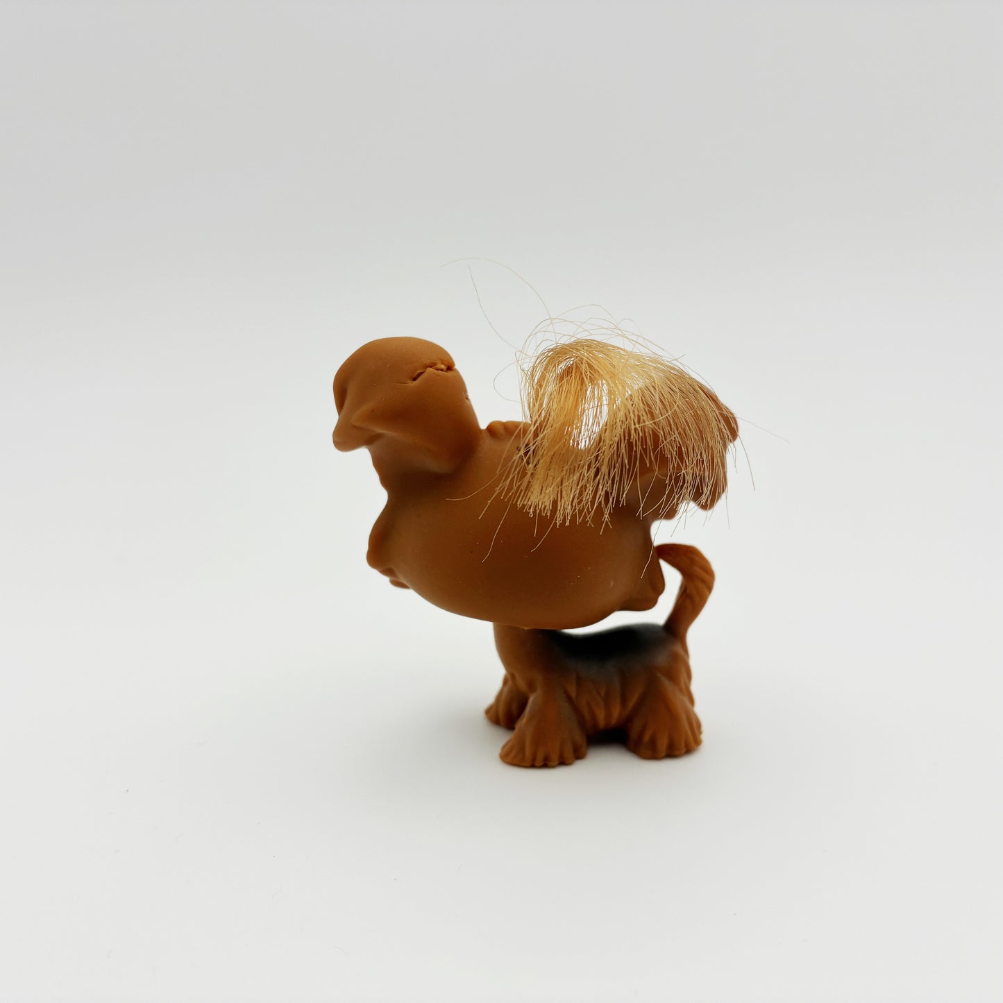 Lps 6 shitzu