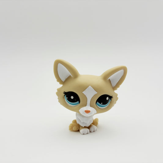Lps G7 #12 Corgi