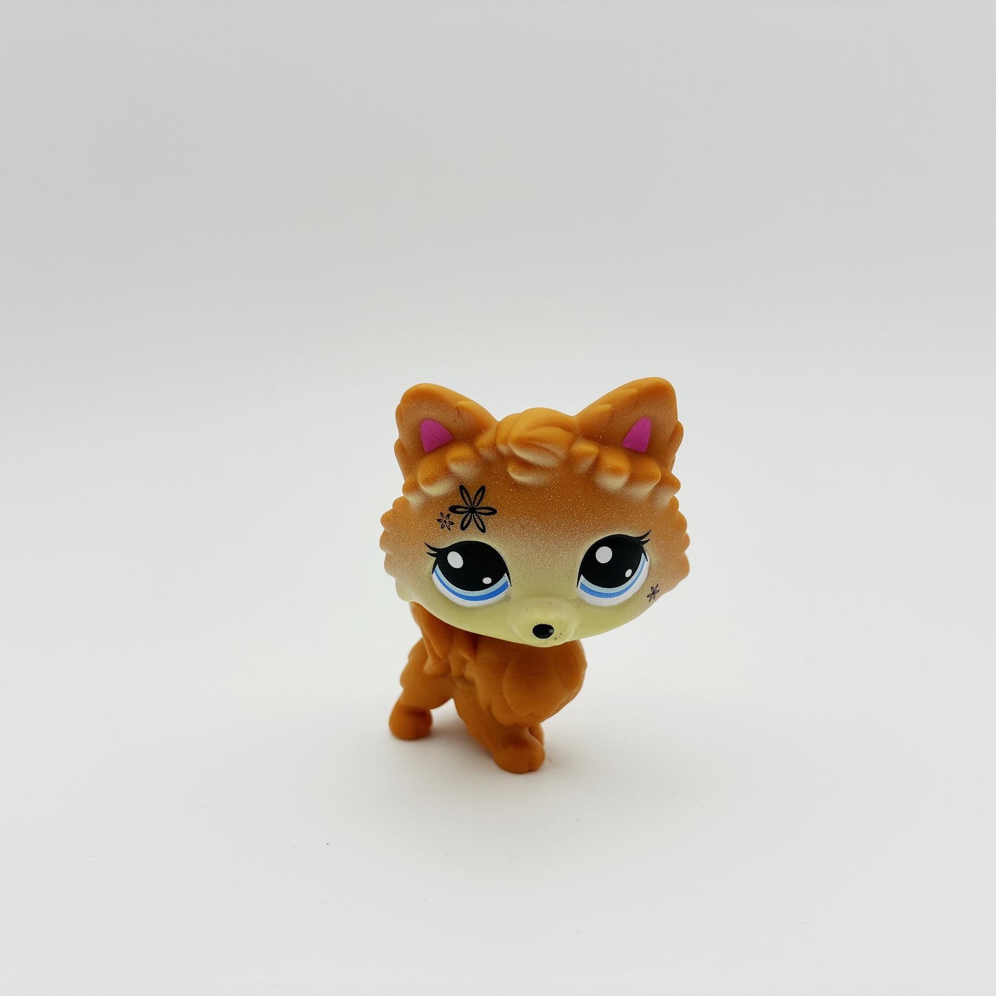 Lps G7 #77 Pomeranian