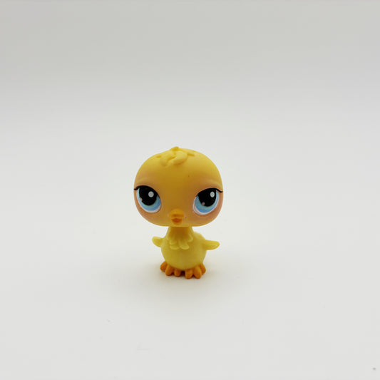 Lps 13 Chick