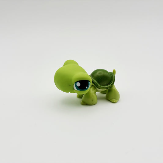 Lps 187 turtle