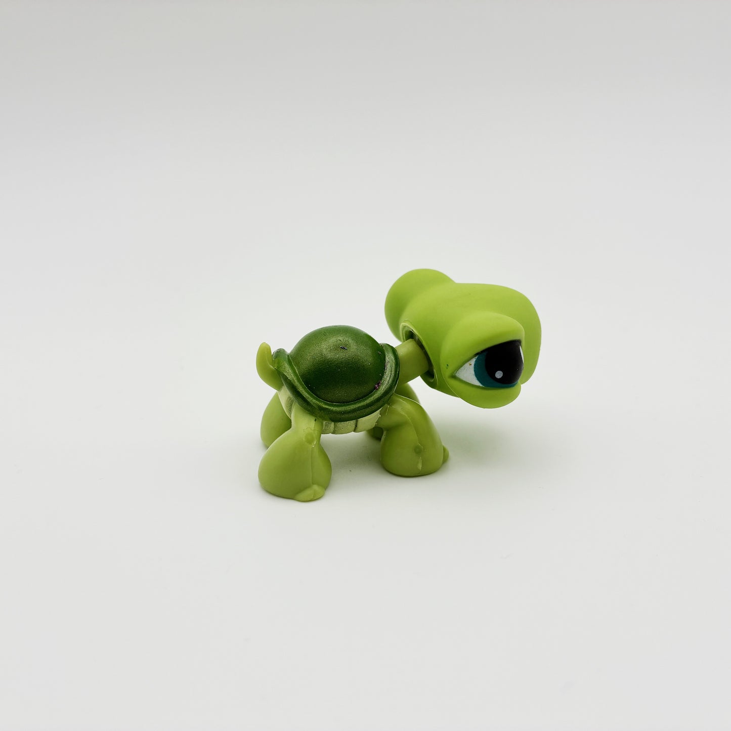 Lps 187 turtle