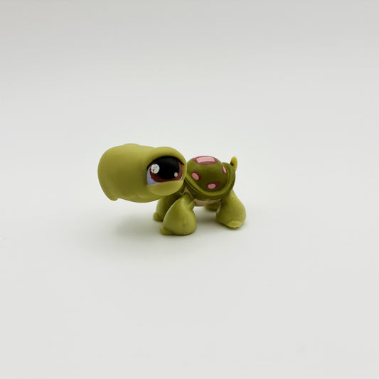 Lps 7 turtle - imperfect