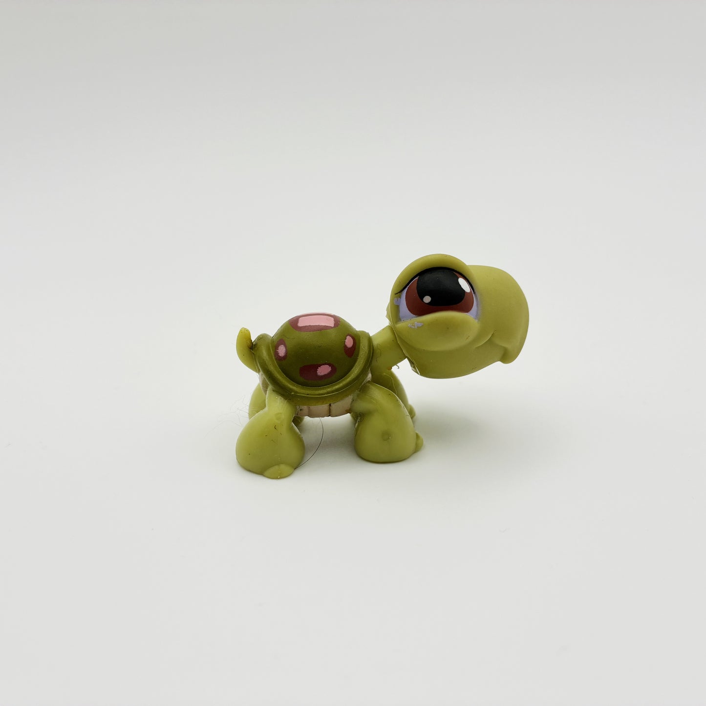 Lps 7 turtle - imperfect