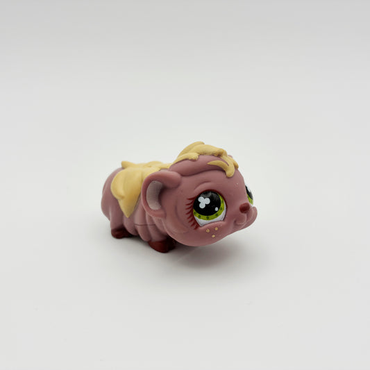 Lps 510 Guinea Pig