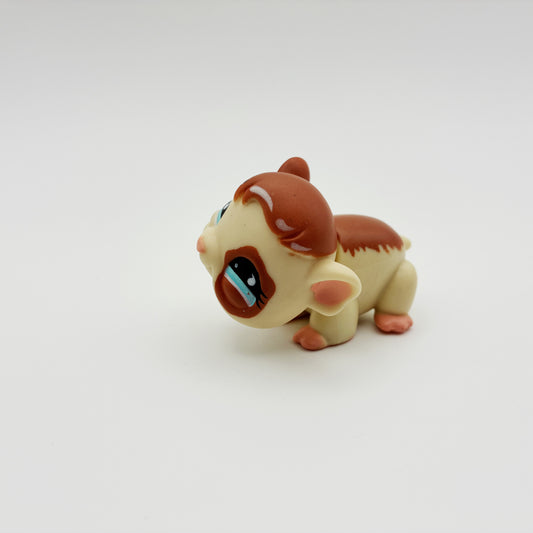 Lps 683 Guinea Pig