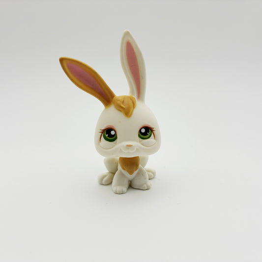Lps 322 rabbit