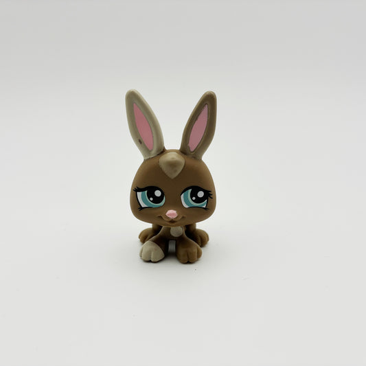 Lps 1332 Petriplet Rabbit